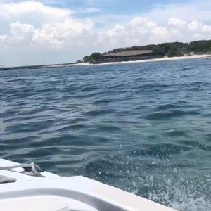 Meet your Posher, Chase